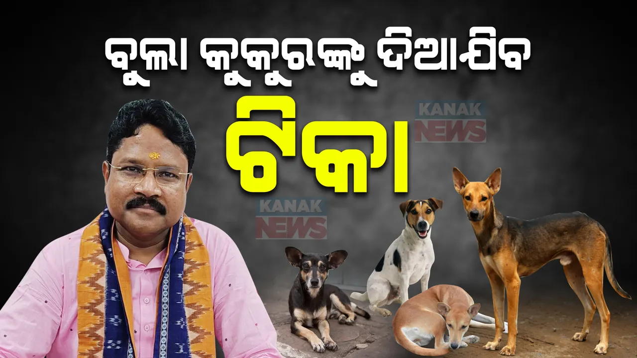  ବୁଲା କୁକୁରଙ୍କୁ ଦିଆଯିବ ଟିକା । ୨୦୩୦ ସୁଦ୍ଧା ଜଳାନ୍ତକ ରୋଗ ମୁକ୍ତ ହେବ ଓଡିଶା