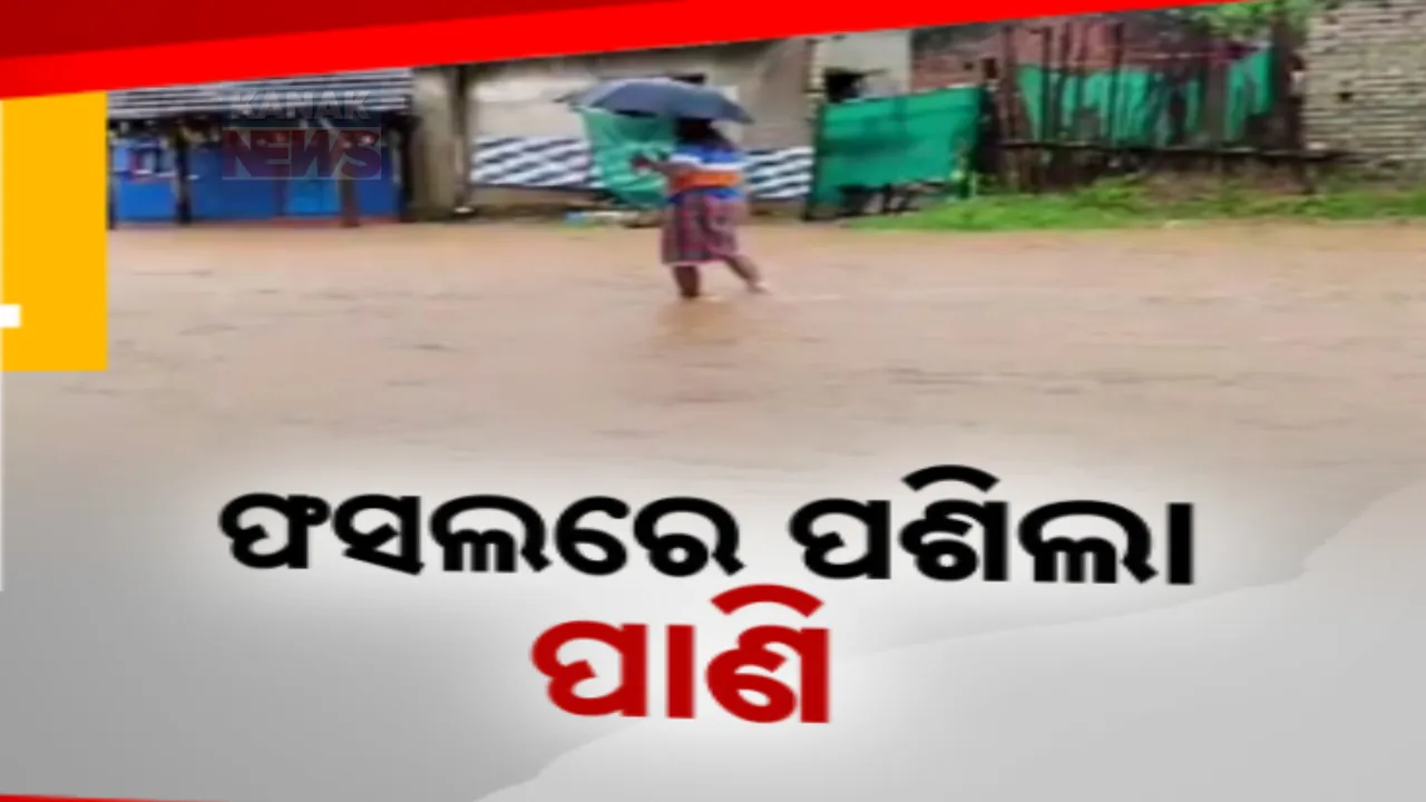  ଲଗାଣ ବର୍ଷାରେ ଅସ୍ତବ୍ୟସ୍ତ ଜନଜୀବନ । ତେଲକୋଇରେ ବଢୁଛି ନଦୀର ଜଳସ୍ତର । ଏକର ଏକର ଜମିରେ ପାଣି ପଶି ଫସଲ ନଷ୍ଟ