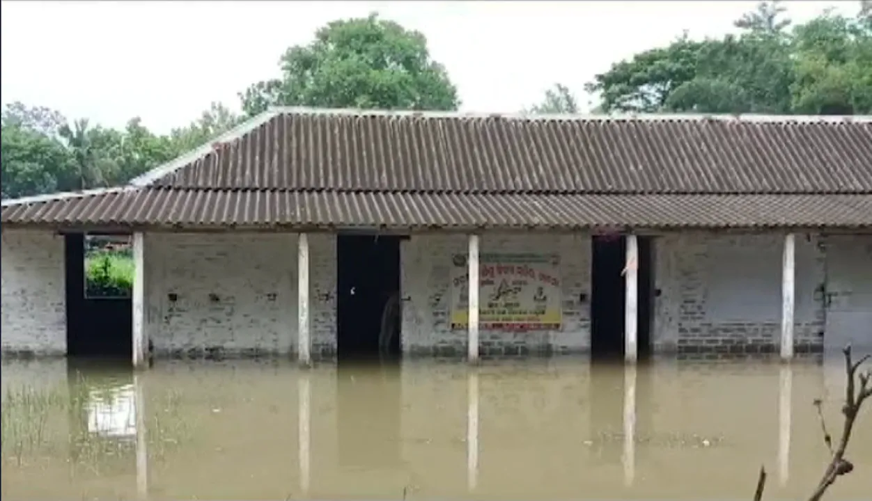  ଲାଗିରହିଛି ଲଘୁଚାପ ବର୍ଷା । ଜଳେଶ୍ୱର ଅଞ୍ଚଳରେ ବନ୍ୟା ପରିସ୍ଥିତି । ରାତି ଅଧରେ ଘରେ ପଶିଲା ପାଣି ।