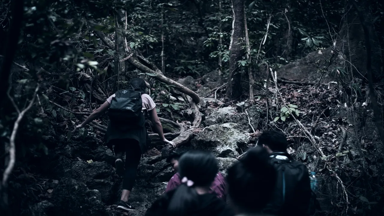 trekking in night in the jungle