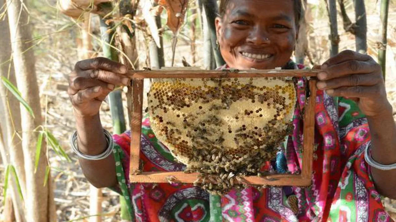 odishahoney