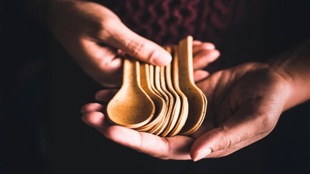 Eco-Friendly Disposable Tableware