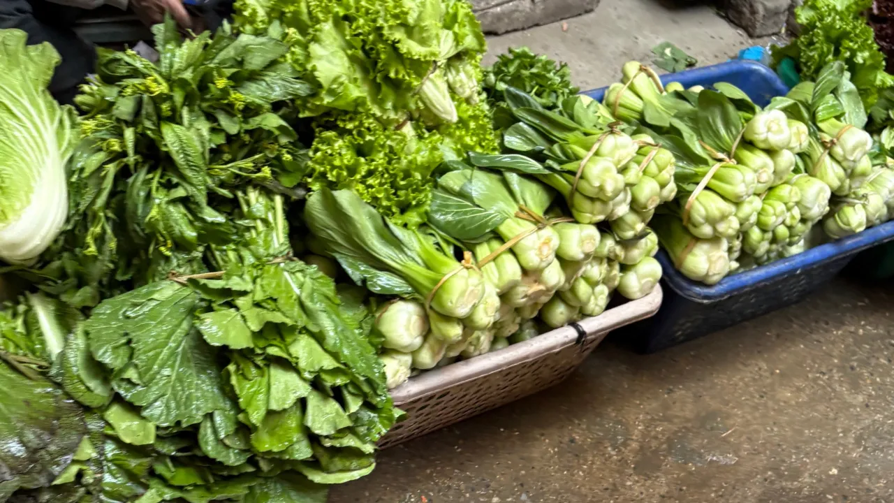 Copy of Local Samosa FI - 5