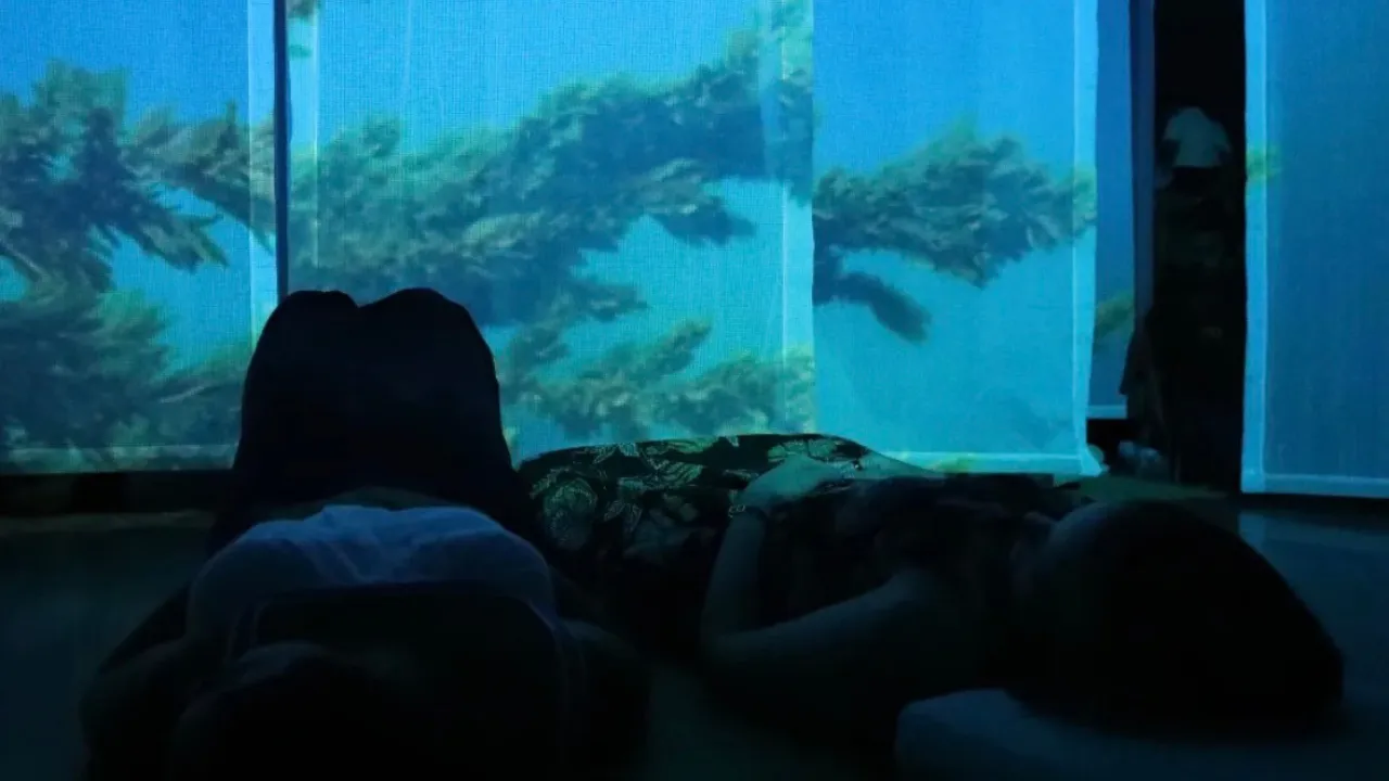 Copy of Local Samosa FI - 1