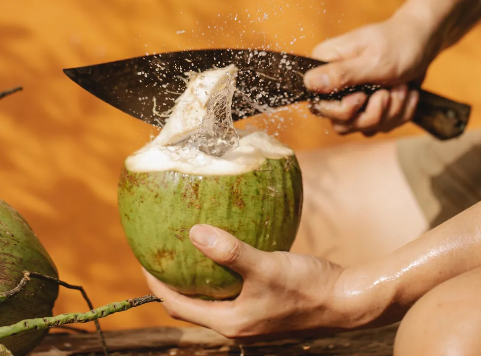 coconut is more indian