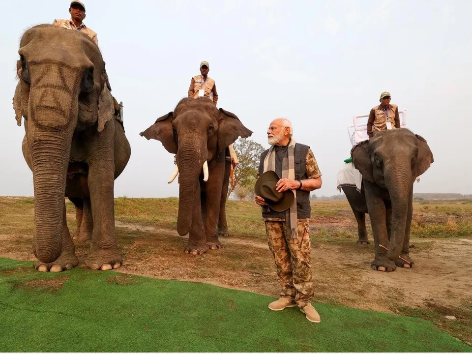 kaziranga national park