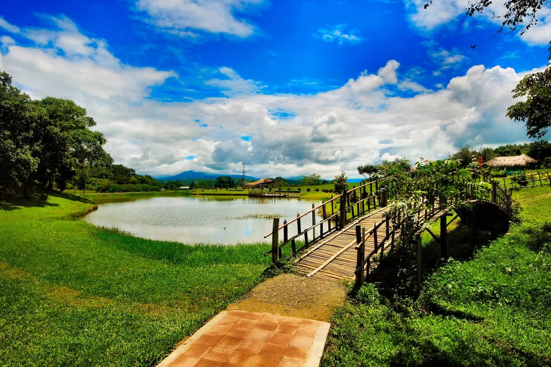 Tripura, Manipur, and Meghalaya