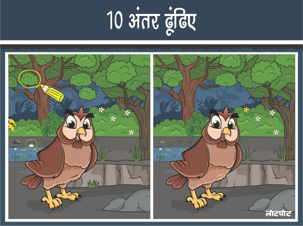 Find 10 Differences Fun Owl Picture Search