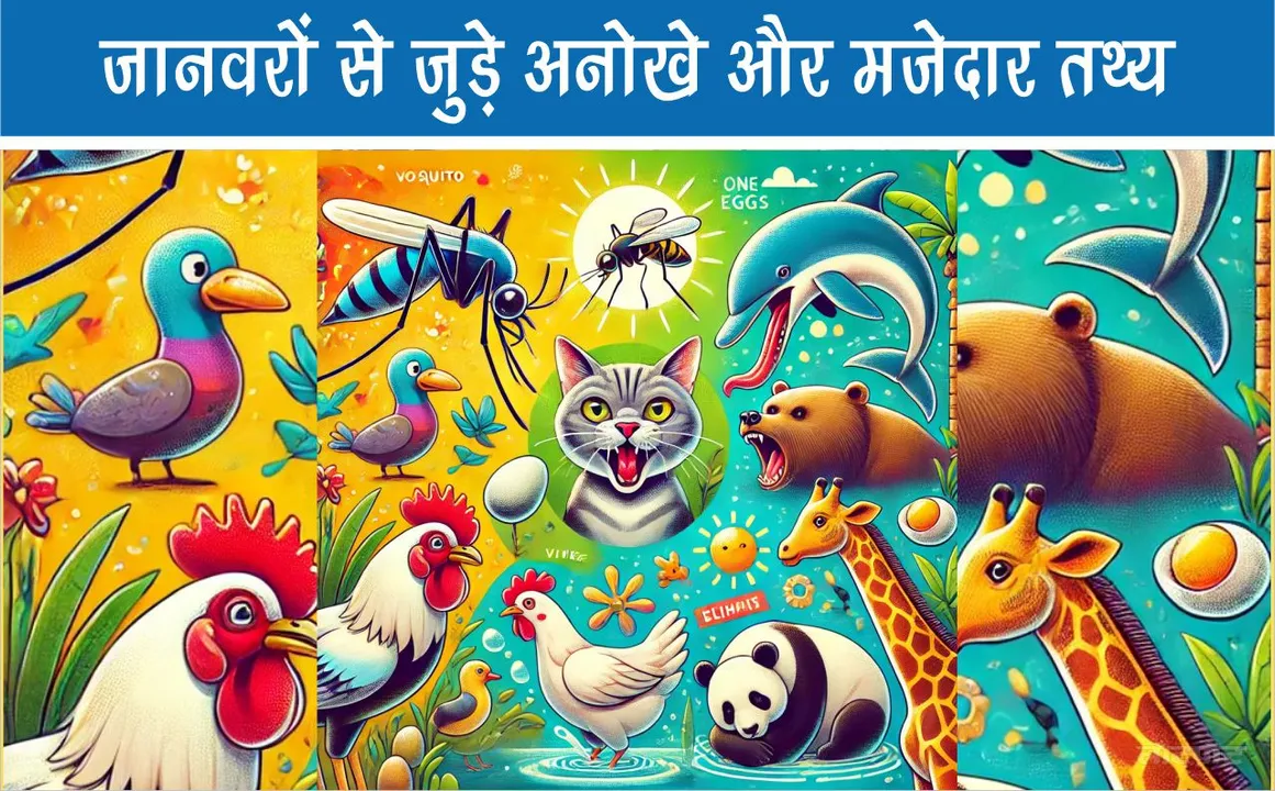 Unique and funny facts related to animals