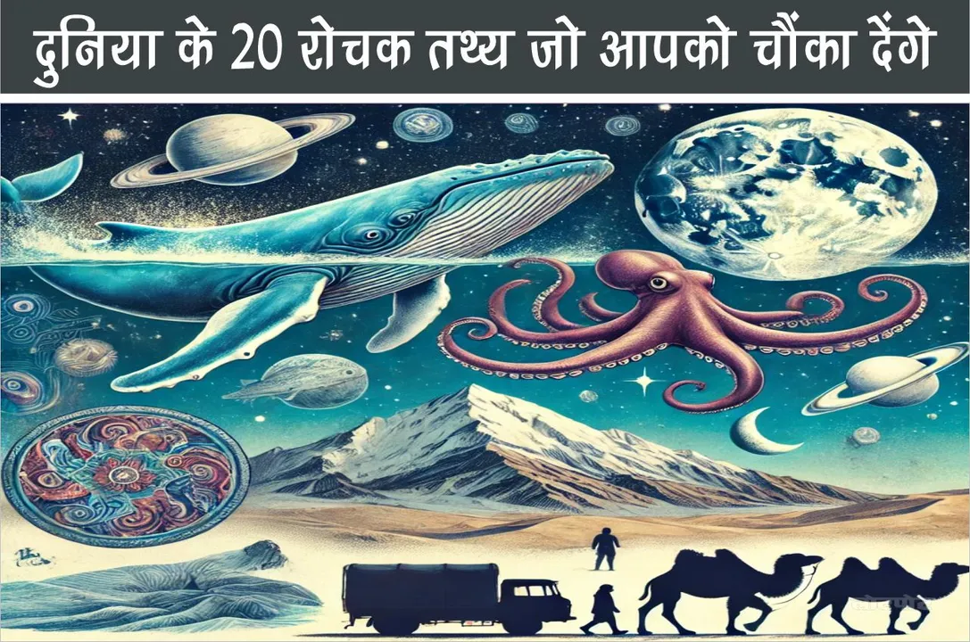 20 interesting facts about the world that will surprise you