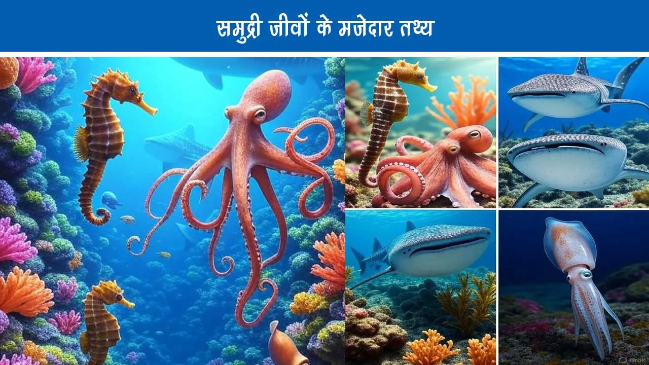 Fun Facts About Sea Animals in Hindi