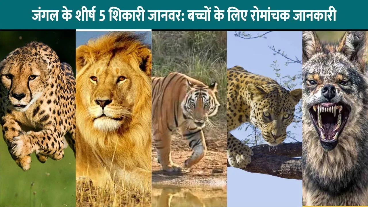to-5-wild-animal