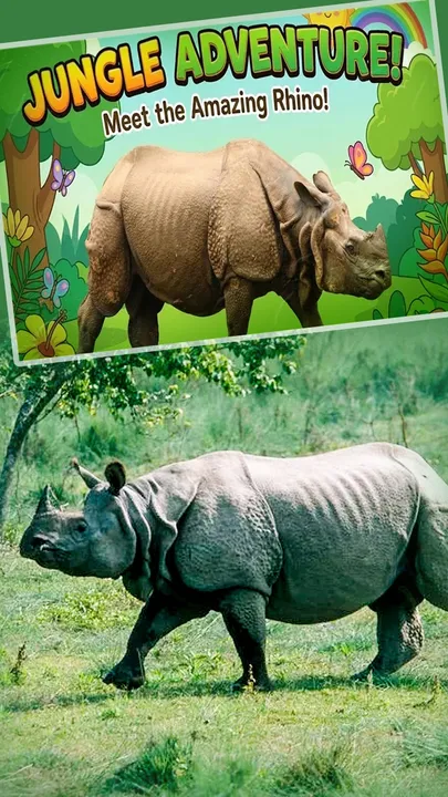 bhartiya gainda jungle ka bakhtarband dost (1)