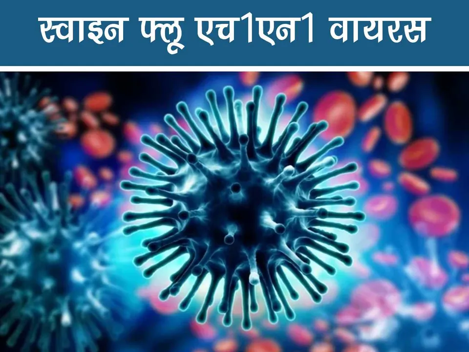 H1N1 virus 
