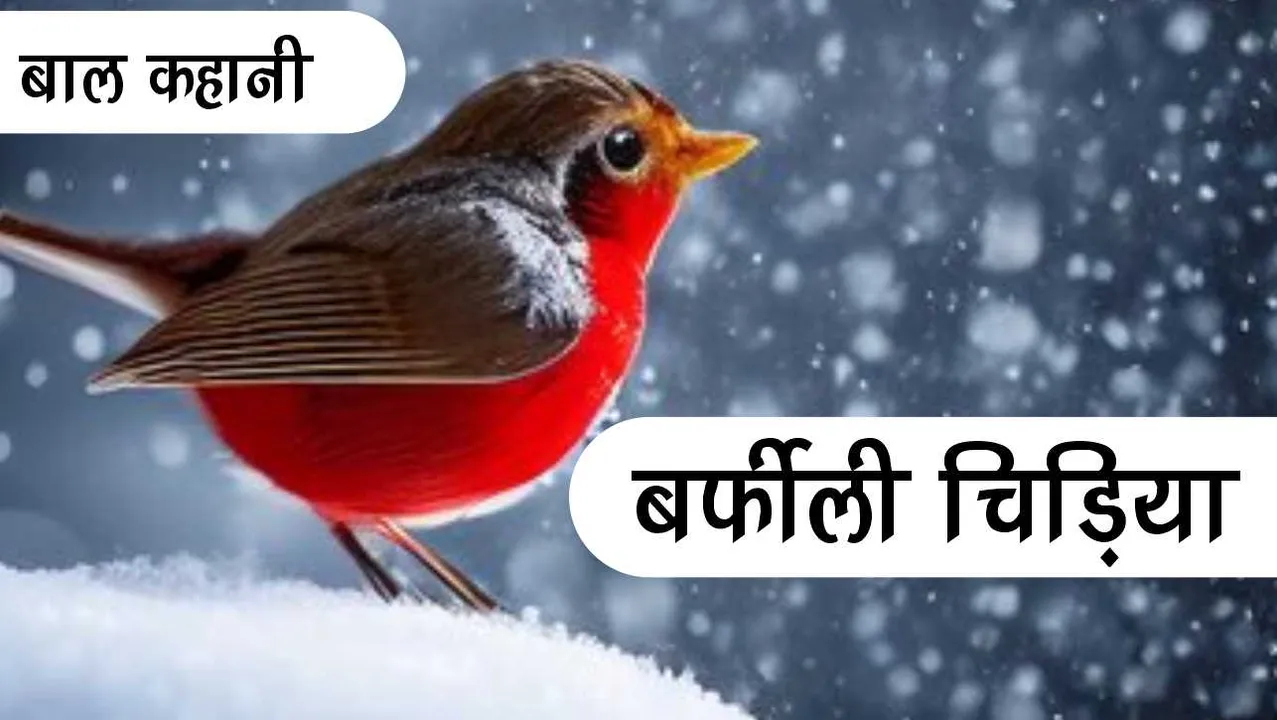 Snow bird