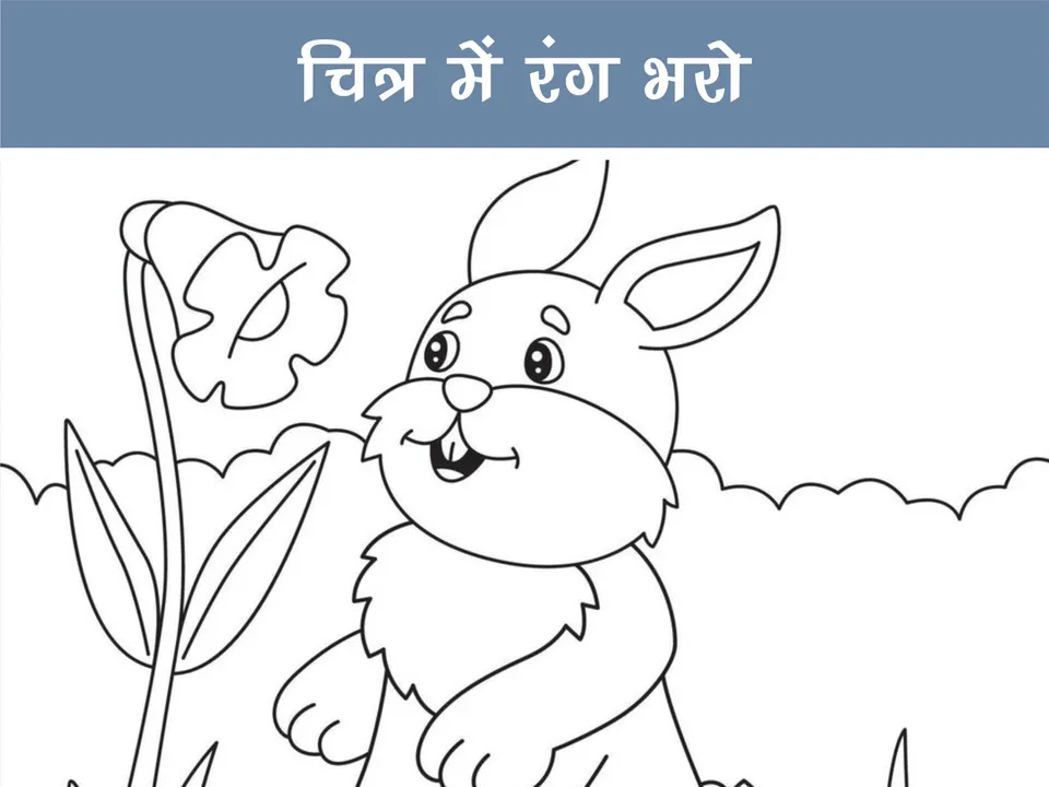 colour the picture