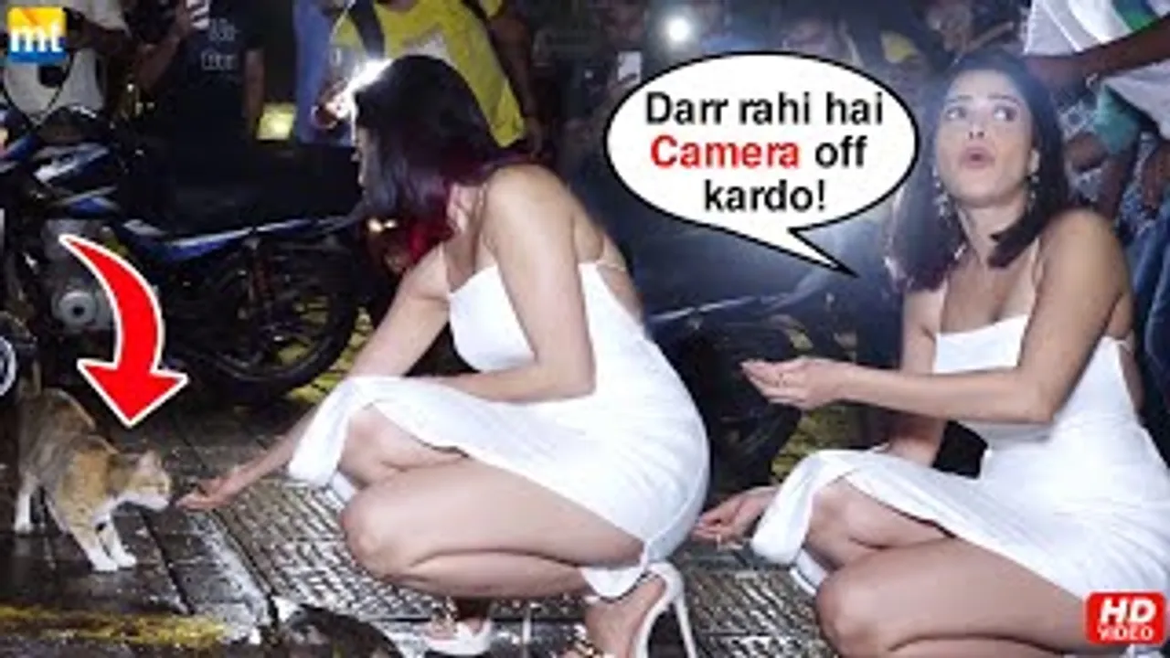 Nushrratt Bharuccha's CUTE Moments With Cat Hiding On Street At Night