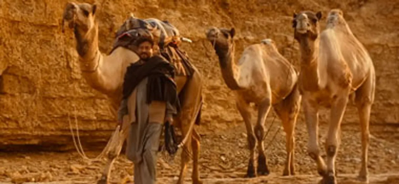 The Song Of Scorpions Official Trailer