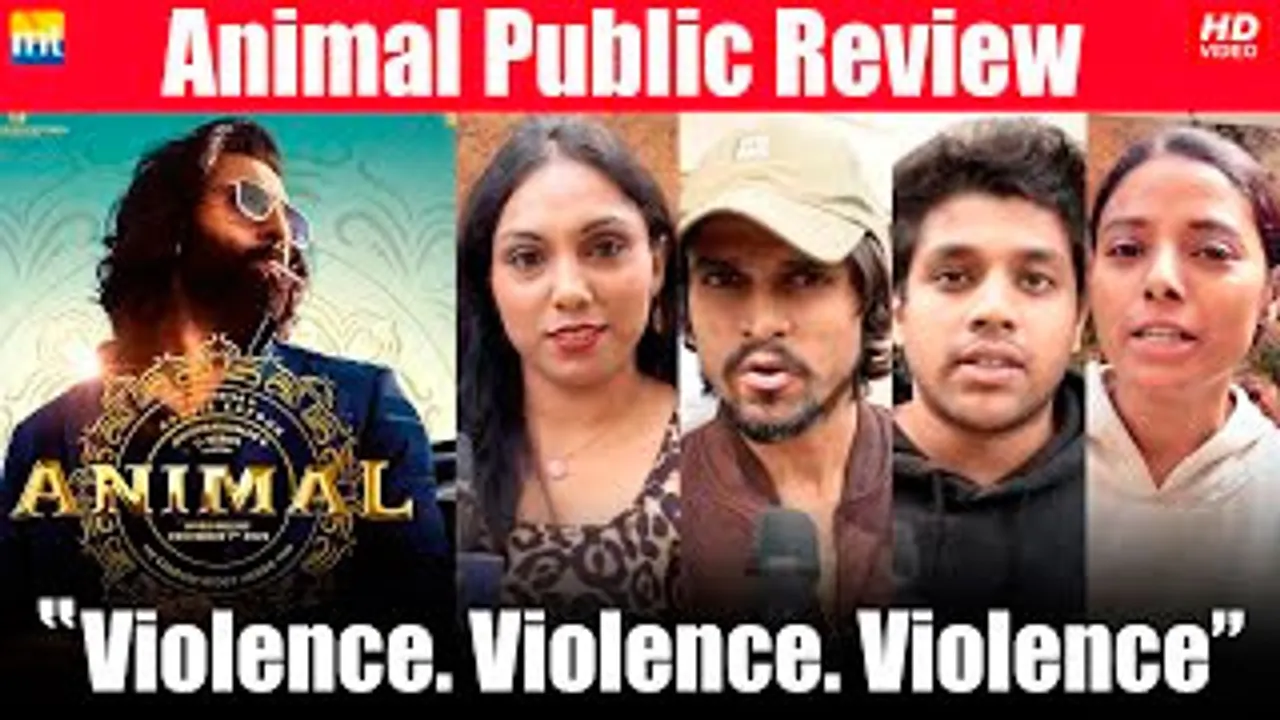 Violence, Violence & Violence, Best Film of 2023 - Animal Public Review
