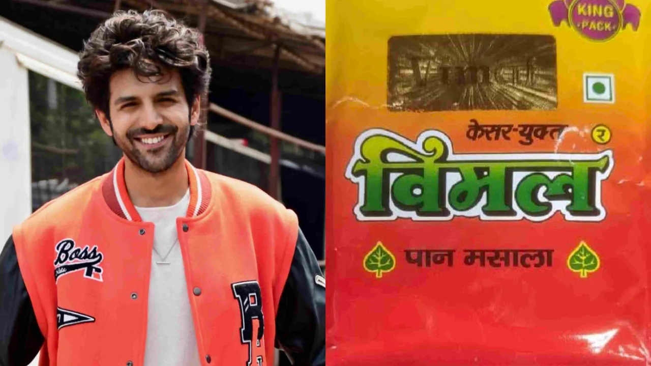 "Pan Masala Brands Ad Does Not Match My Idea"- Kartik Aaryan