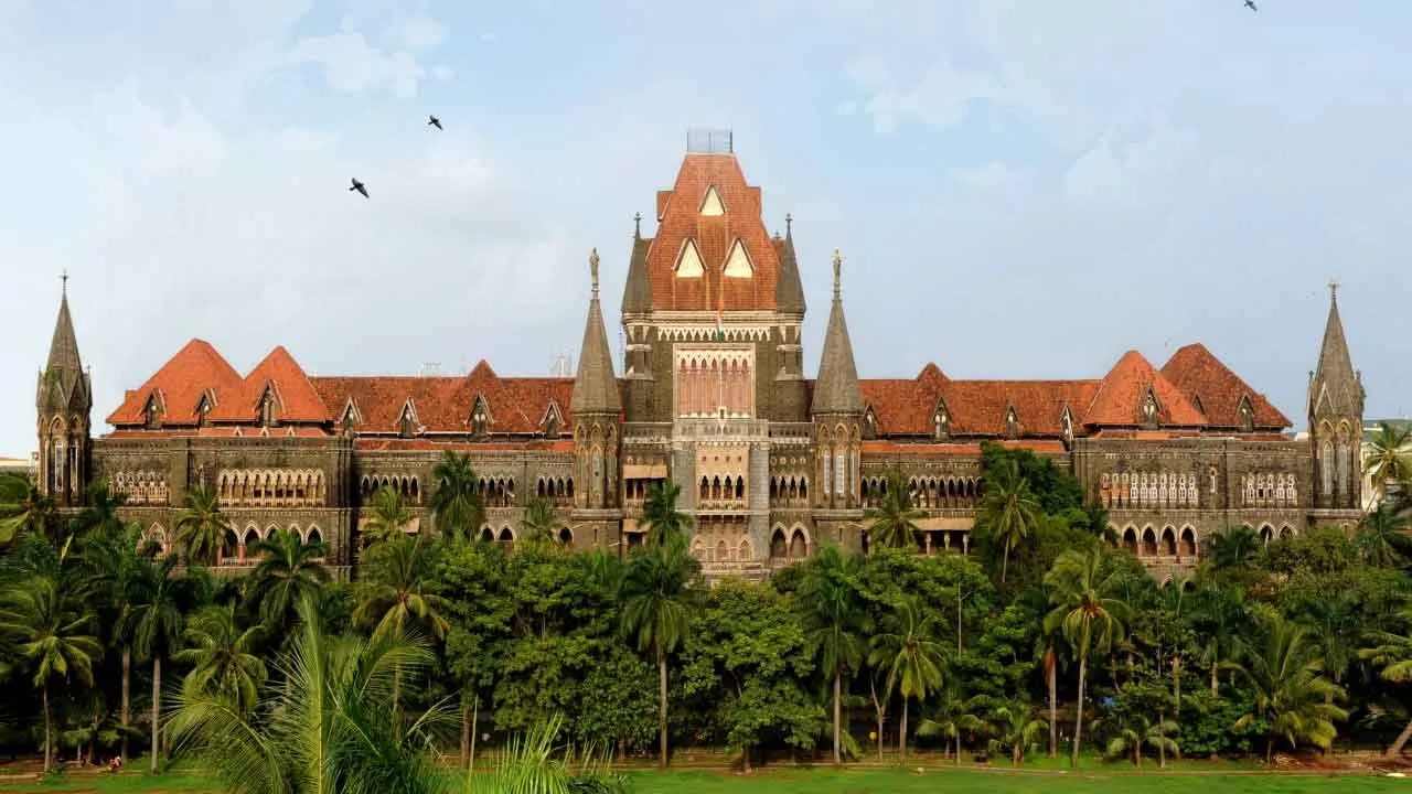  Court comments  day wasted on petition challenging Maharashtra election results 
