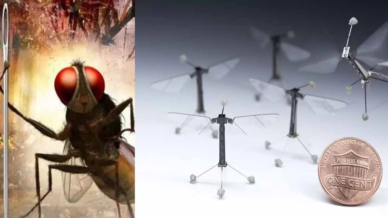  Amazing mosquito drones Photograph: (DRONE) 