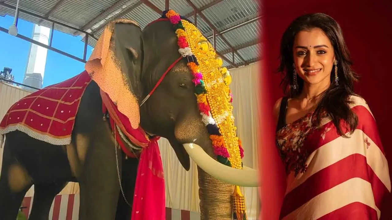  நடிகை த்ரிஷா வழங்கிய இயந்திர யானை; அலட்சியம் செய்த ஆண்டாள் கோவில்-  அருப்புக்கோட்டைக்கு அதிர்ஷ்டம்!