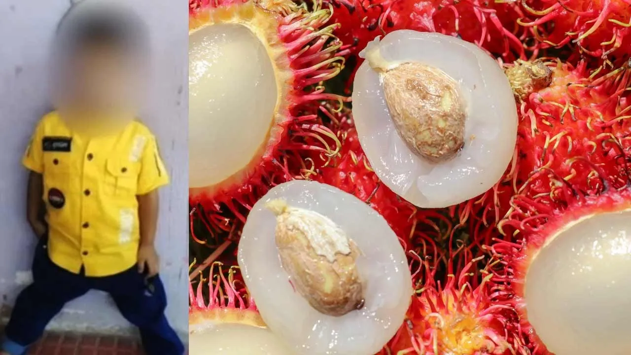  'Ramputan seed' that stopped breathing - the life of a 5-year-old boy who was lost Photograph: (fruit) 