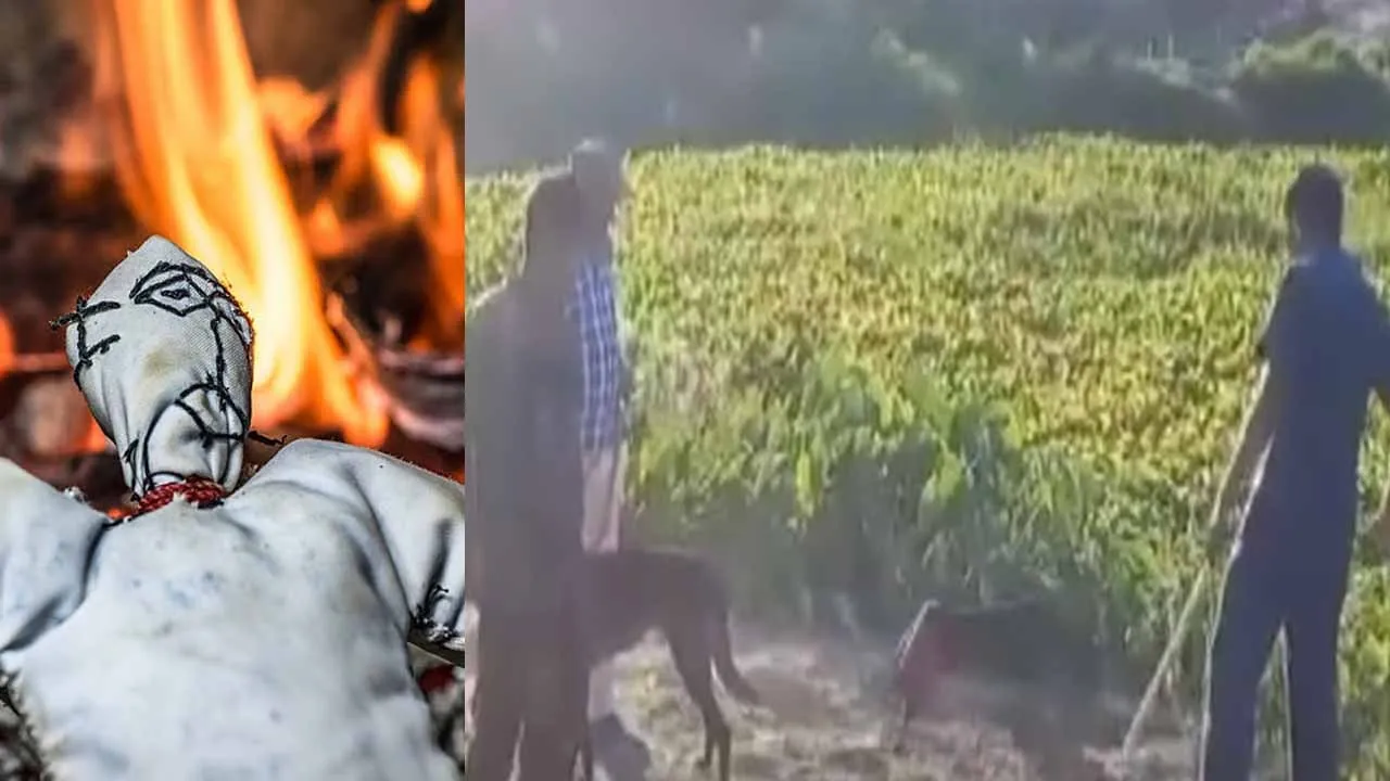  5 members of the same family burned; witchcraft background revealed during investigation Photograph: (sad incident) 