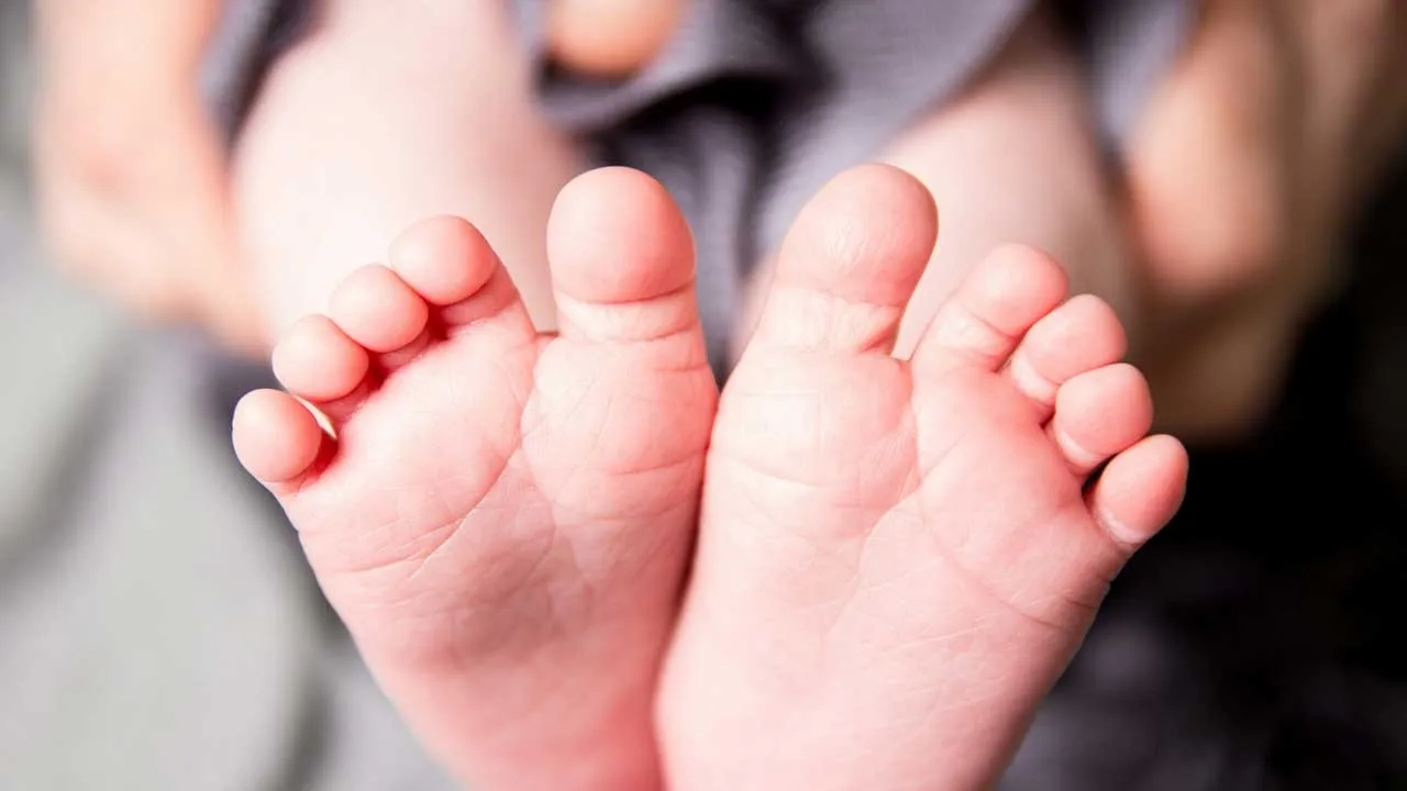  Government hospital declared lost  Baby comes back to life 12 hours late in maharashtra 