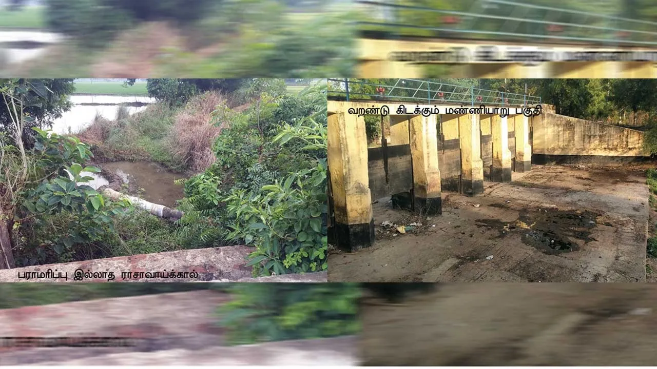  காவிரி நீரை கடலுக்கு அனுப்பும் அதிகாரிகள் விவசாயிகள் வேதனை