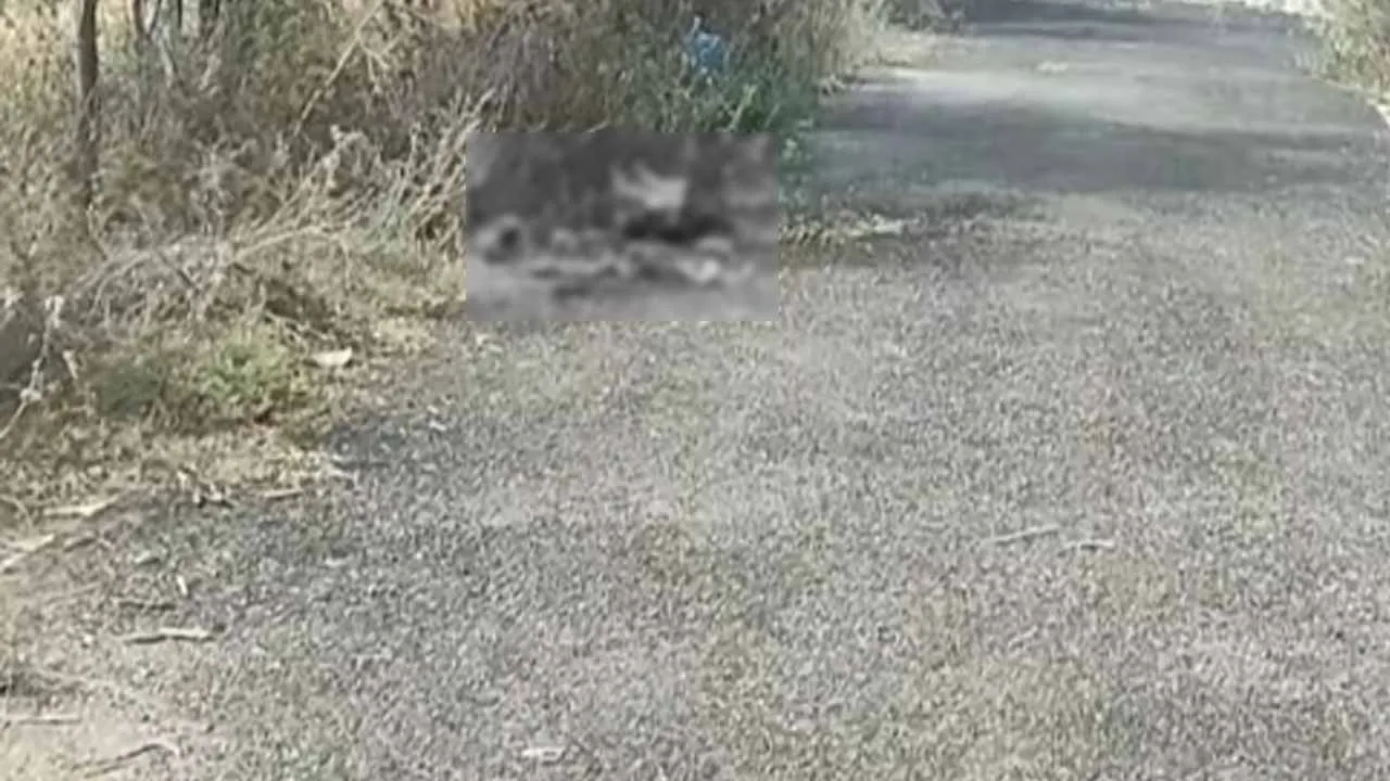  A body with its head severed was found lying on the road - a brutal attack on the road on the pretext of taking it on a trip Photograph: (dindigul) 