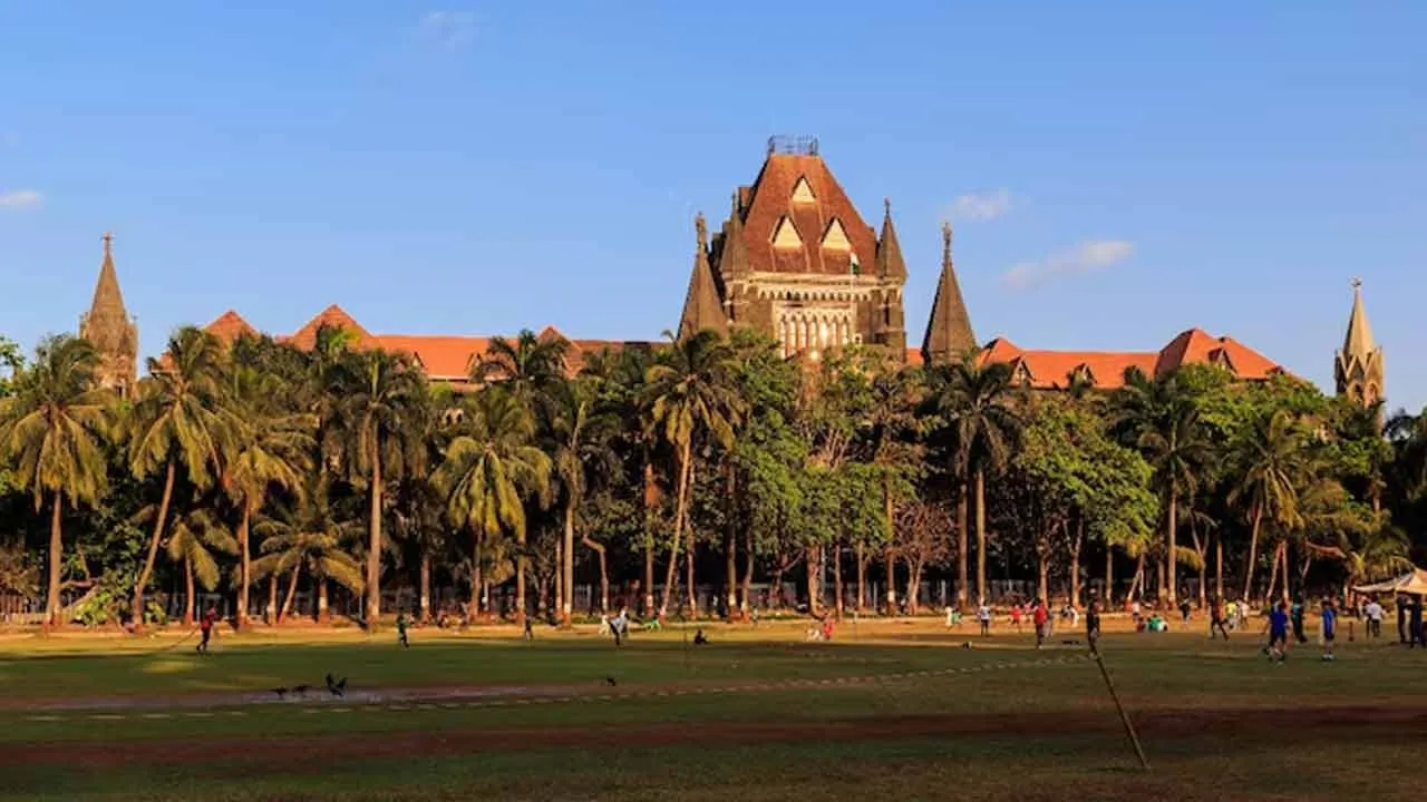  Bombay High Court comments says Domestic violence law being misused 