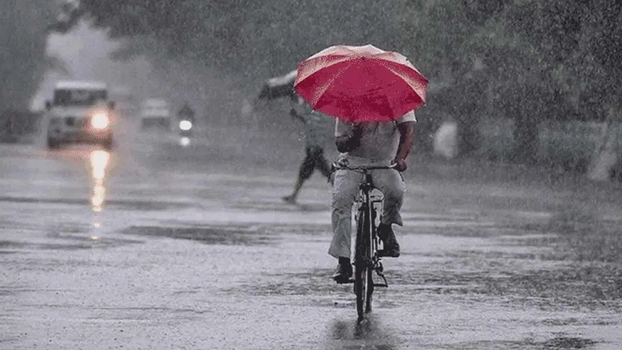  Rain alert for 4 districts Photograph: (rain) 