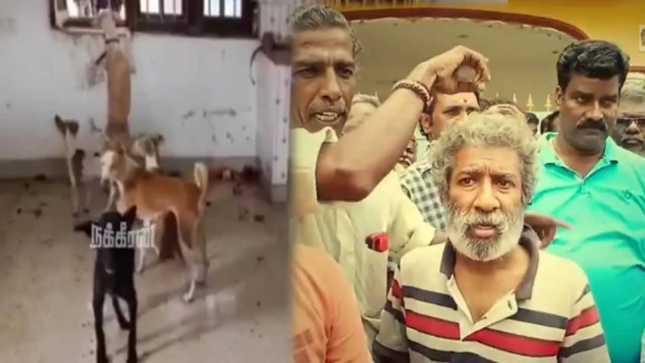  “நாய் கறி விற்பனை செய்றாங்க...”; போராட்டத்தில் குதித்த மக்கள் - வேலூரில் பகீர்!