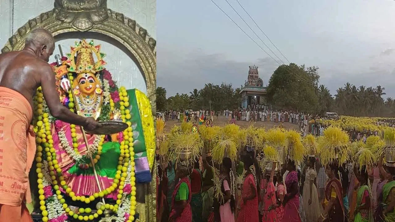  Pidariamman Temple Mulapari Festival! Thousands of women participated. Photograph: (festival) 