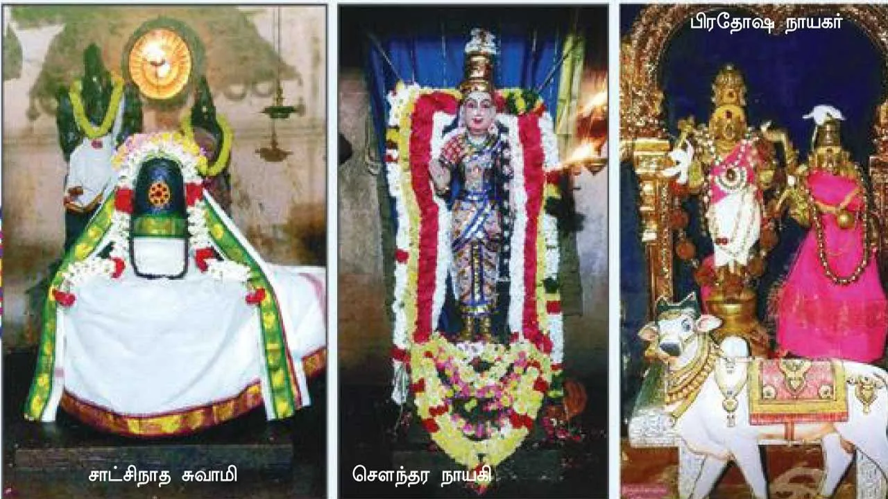  அற்புத வாழ்வைத் தந்தருளும் அவனிநல்லூர் அருள்மிகு ஸ்ரீ சாட்சிநாத சுவாமி  கோவை ஆறுமுகம்