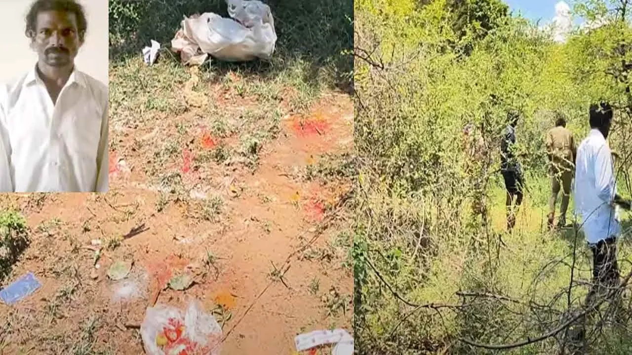  Woman's skeleton found in forest; Was it a human sacrifice Photograph: (thiruvannamalai) 