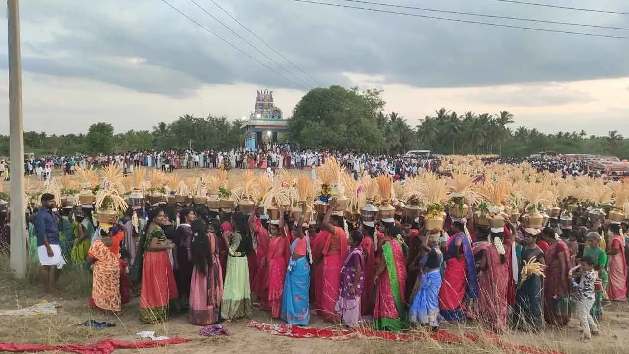  The Pidariamman Temple Wine Festival! Thousands of Thennampalais came dancing and dancing! Photograph: (pudukottai) 