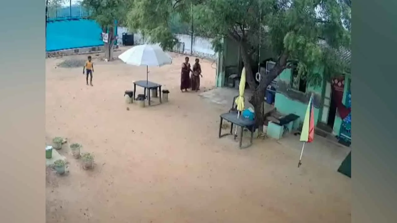  சிறுவனைக் கடித்த தெரு நாய்!