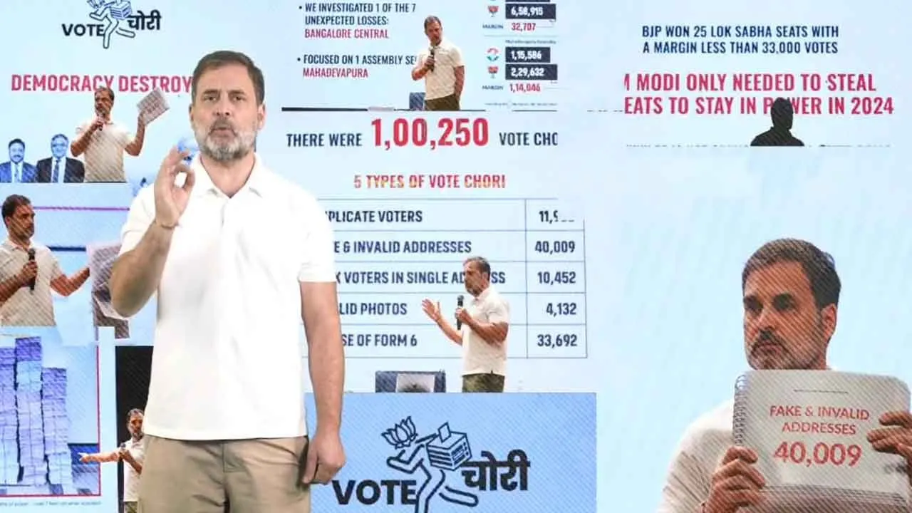  Rahul gandhi MP 