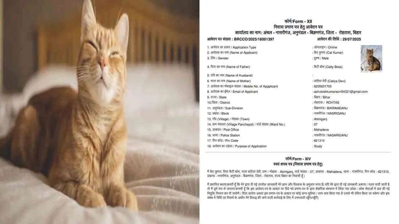  Application for residence certificate for cat and Controversy in Bihar due to special intensive revision 