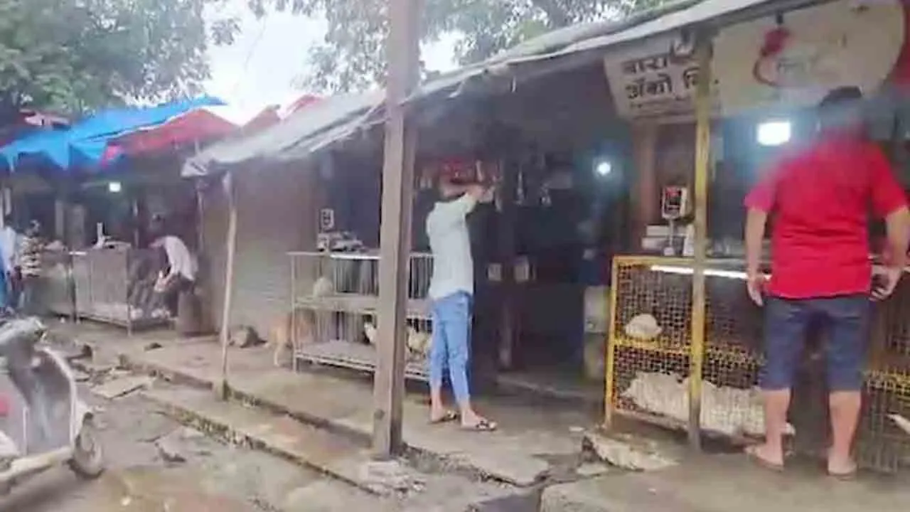  meat shop 