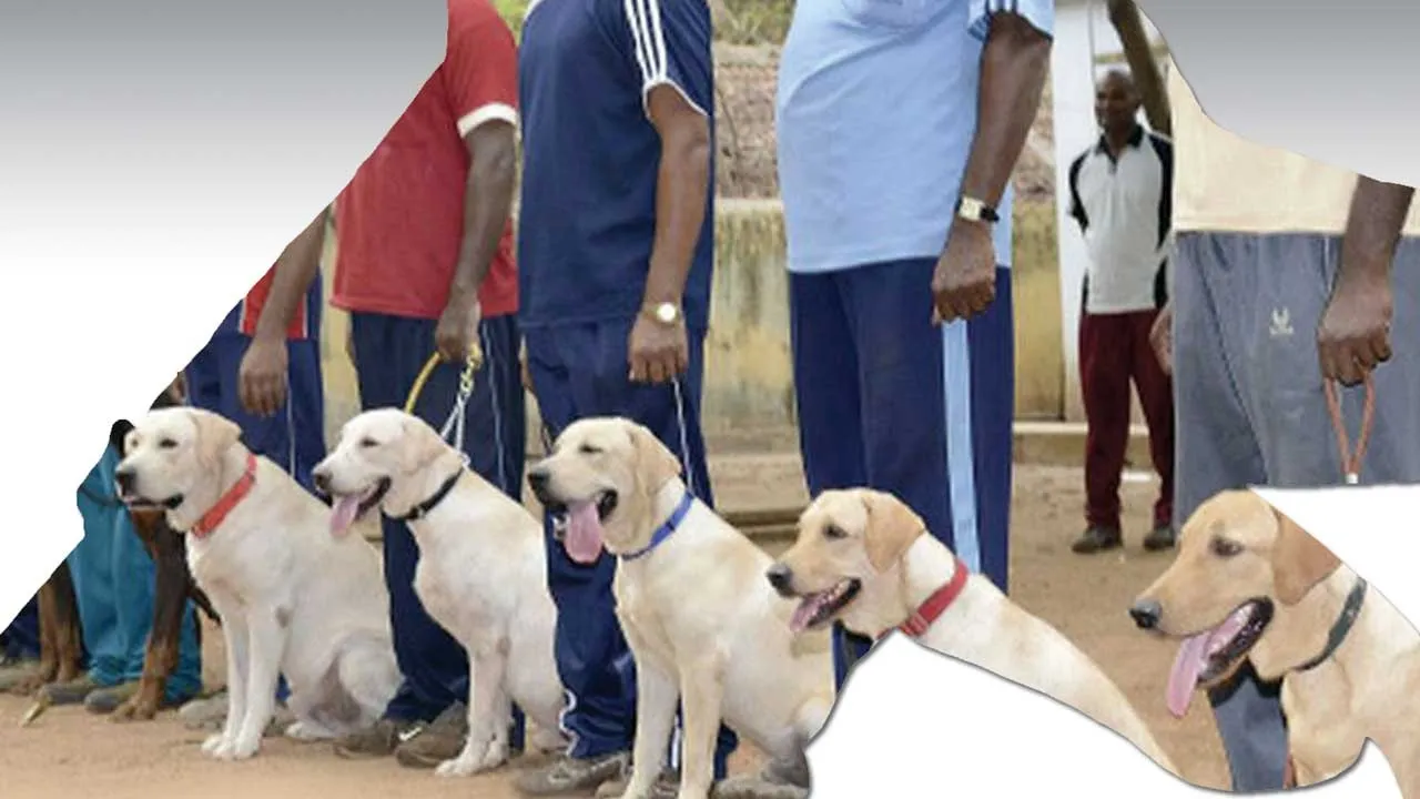  JAIL  FOLLOW UP 16  தமிழகச் சிறைகளில் ரூ.500 கோடி ஊழல்! மோப்ப நாய் பிரிவால் அரசுக்கு நிதி விரயம்!