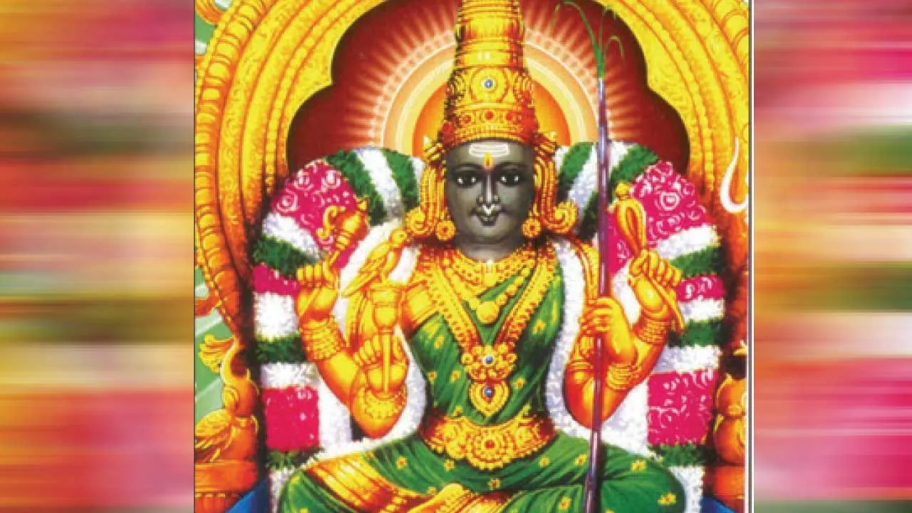  மனச் சிக்கல்கள் தீர்க்கும் மலர் மருந்து 12 மேல்மருவத்தூர் எஸ். கலைவாணி