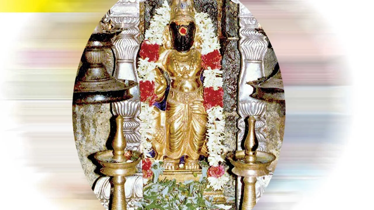  12 ராசிக்காரர்களுக்கும் சனி பார்வையை சமாளிக்கும் வலிகள்! -ஆர். மகாலட்சுமி சென்ற இதழ் தொடர்ச்சி...