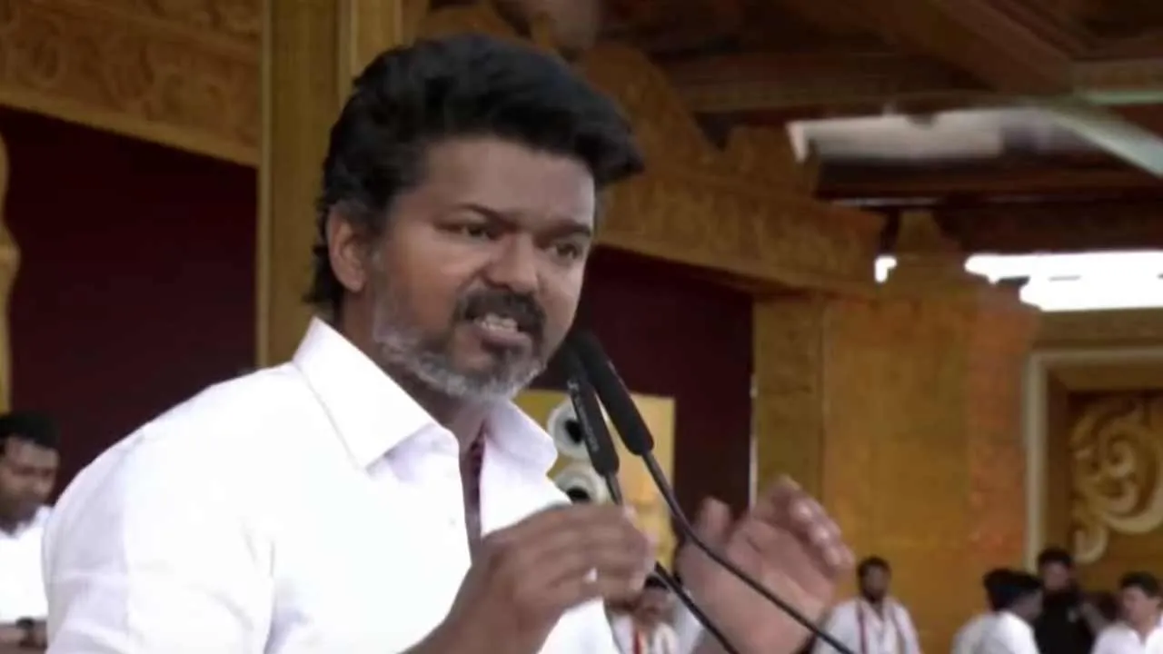  'Lions only come out to hunt, not to have fun' - Vijay's speech Photograph: (tvk) 