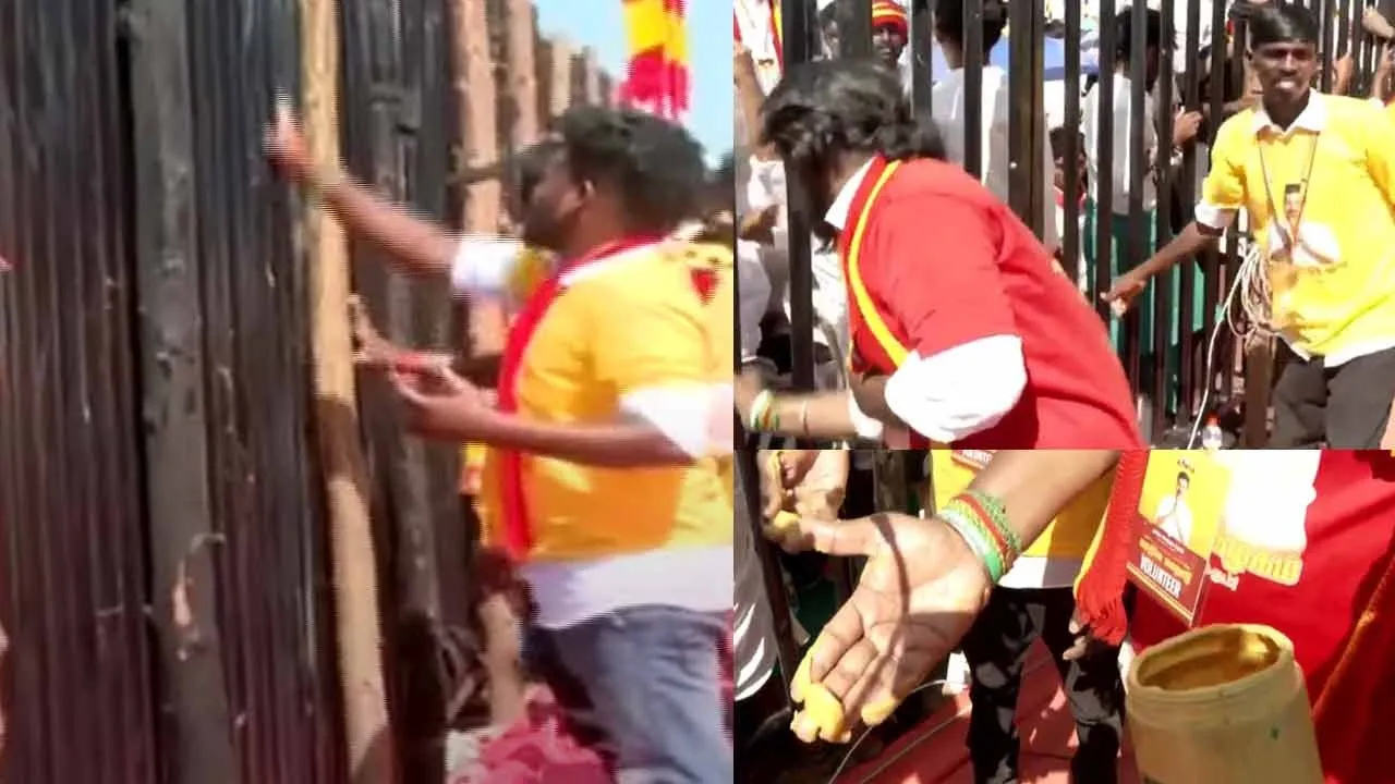  த.வெ.க. மாநாடு; ராம்ப் வாக் தடுப்புகளில் கிரிஸ் தடவிய பாதுகாவலர்கள்!