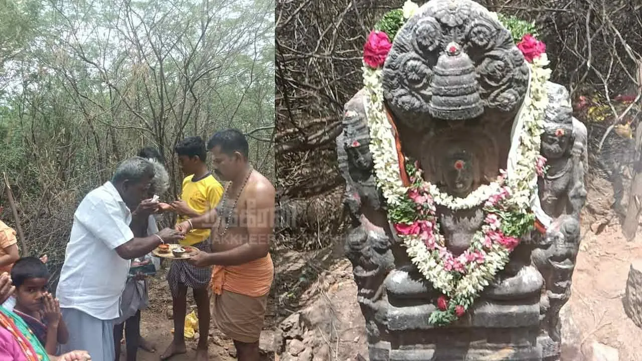  1000-year-old Mahavira sculpture! Officials came to rescue it! Villagers refused to give up the statue and worshiped it Photograph: (PUDUKOTTAI) 