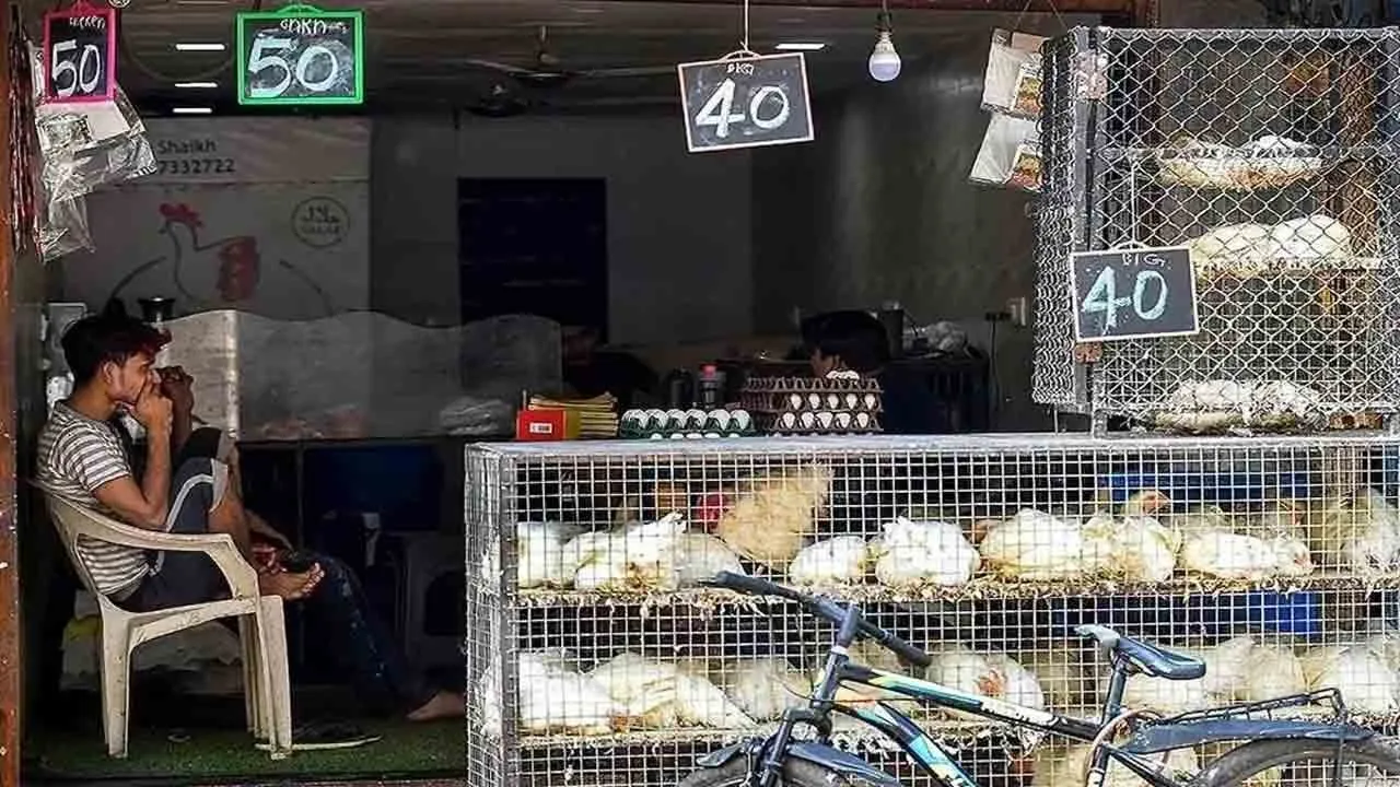  Sale of eggs and meat banned on religious festival in rajasthan 